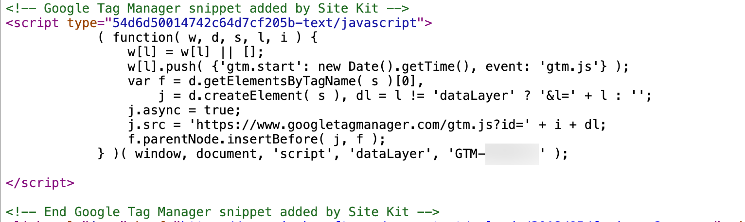 GTM snippet on the website