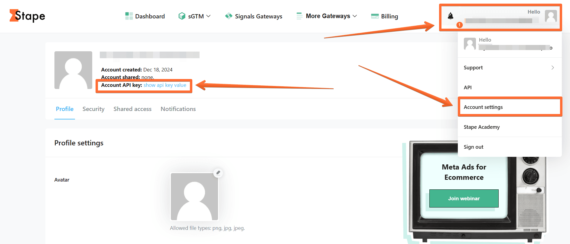 Get the Stape Account API Key