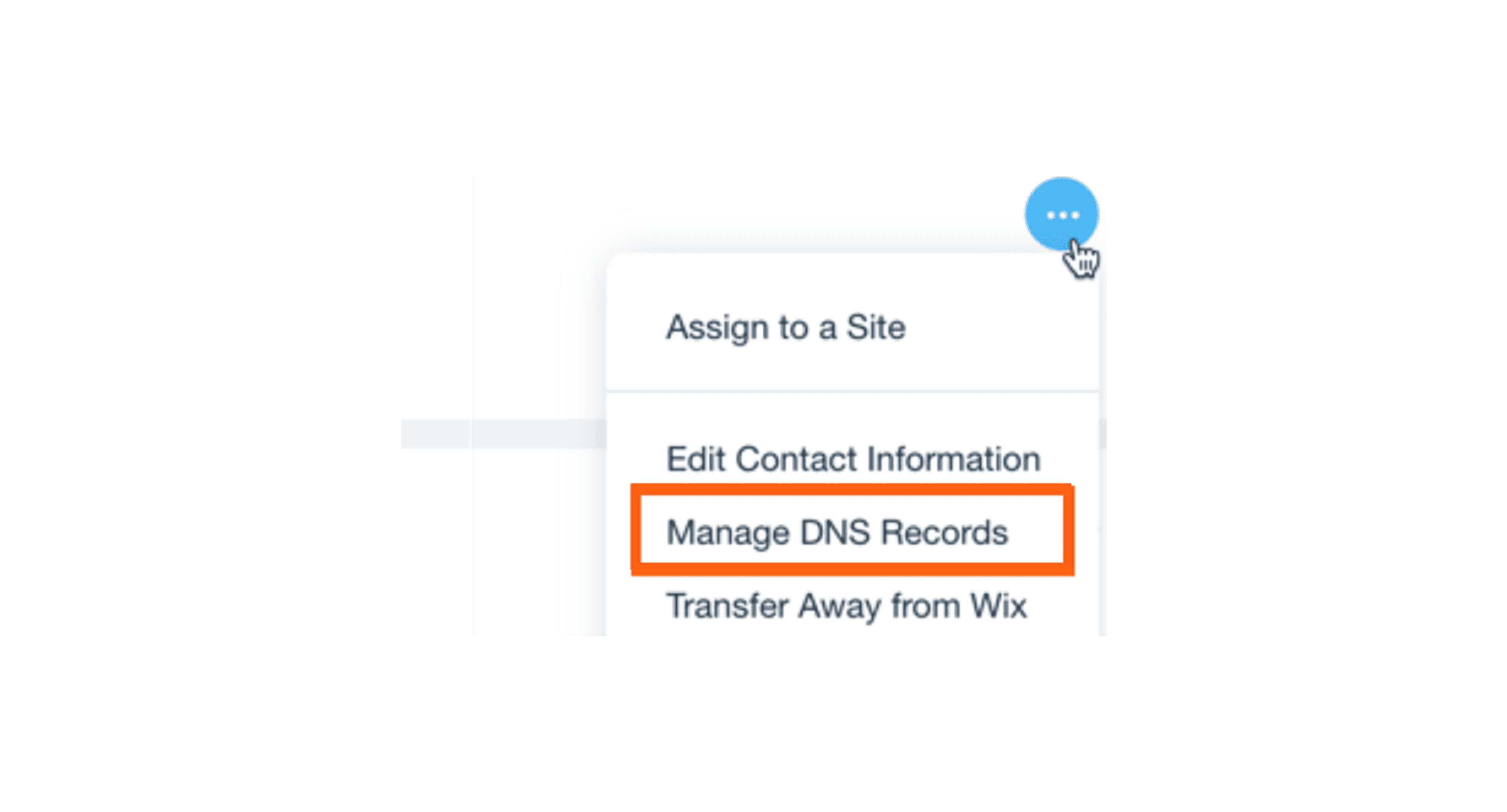 Manage DNS Records