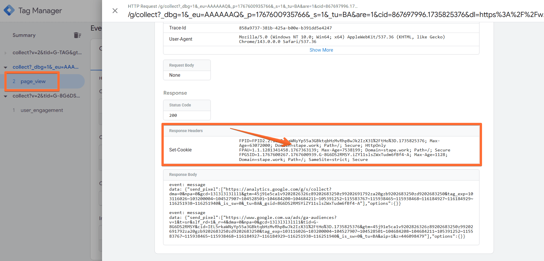 Incoming page_view request from your website’s real domain