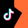 TikTok Pixel tag