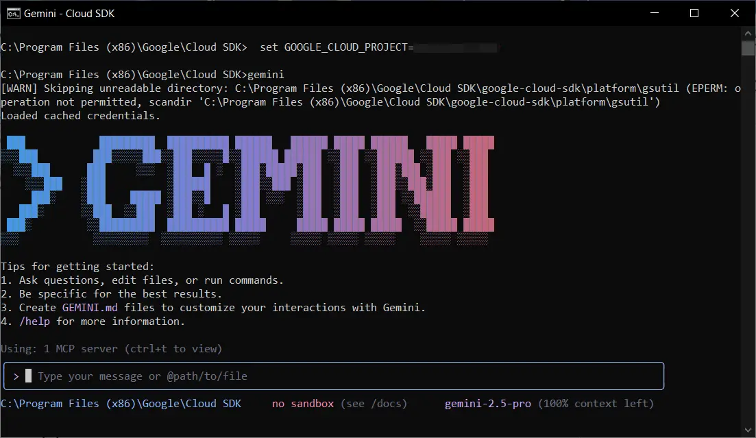 Launch Gemini CLI