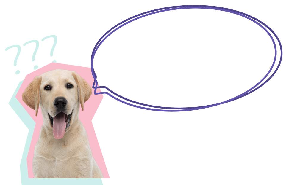 perro mascota de Stape con signos de interrogación y un globo de diálogo