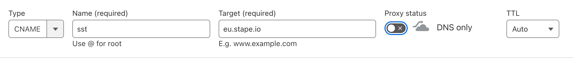DNS record