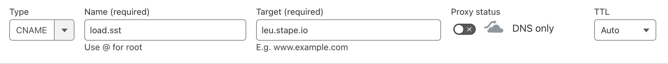 DNS record