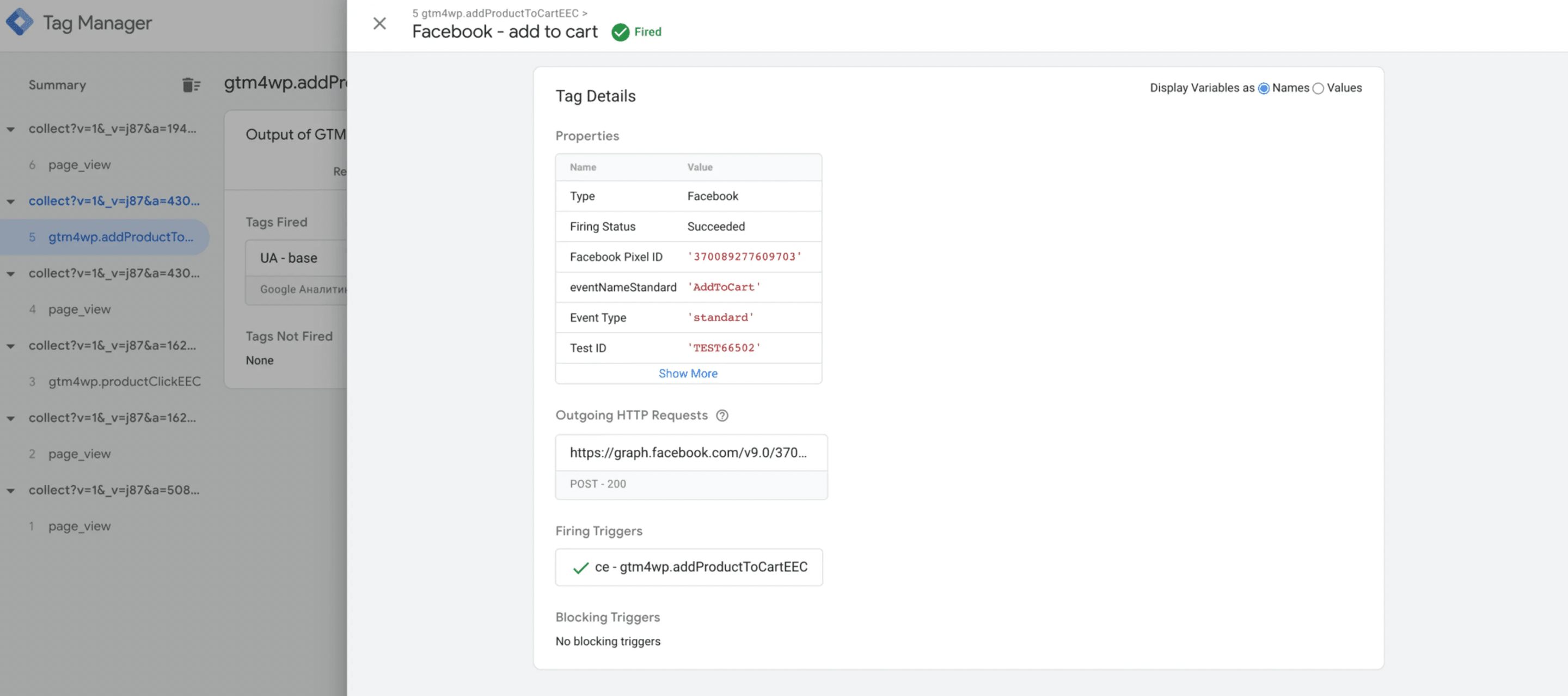 Test Facebook Conversions API