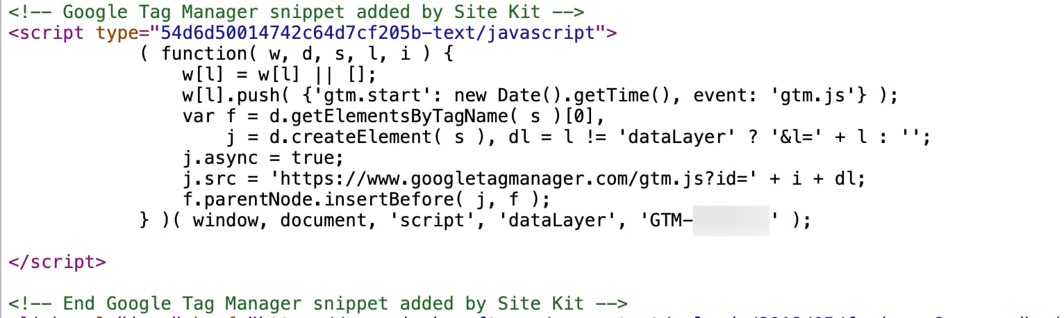 GTM snippet on the website