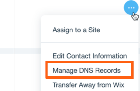 Click Manage DNS Records