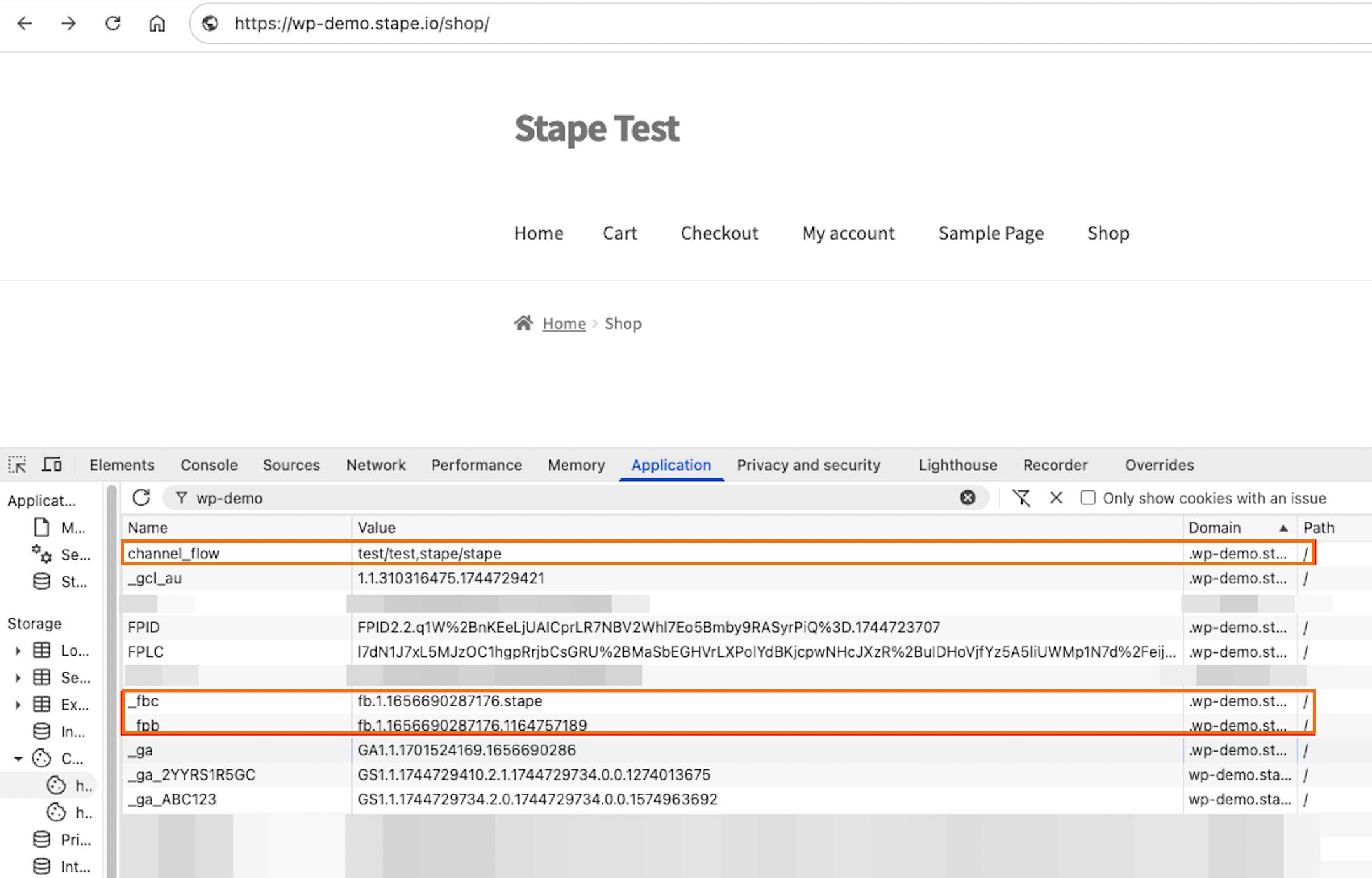 Setup test in developer tools