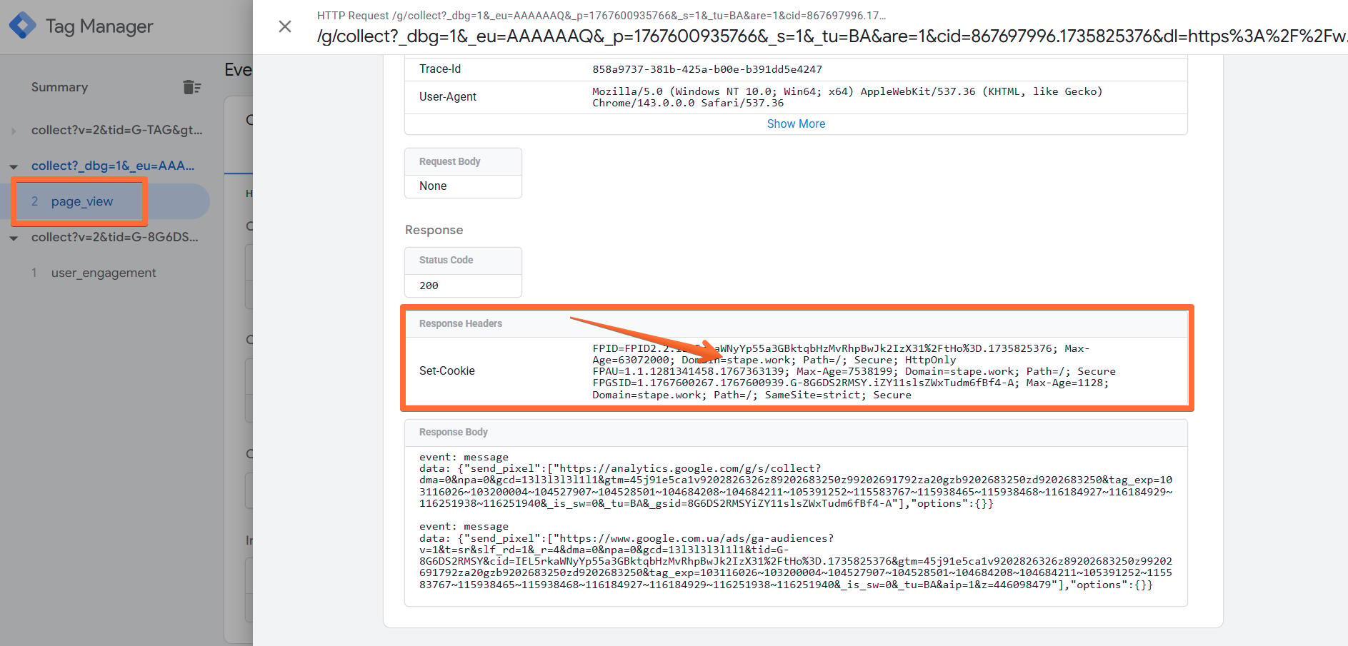 Incoming page_view request from your website’s real domain