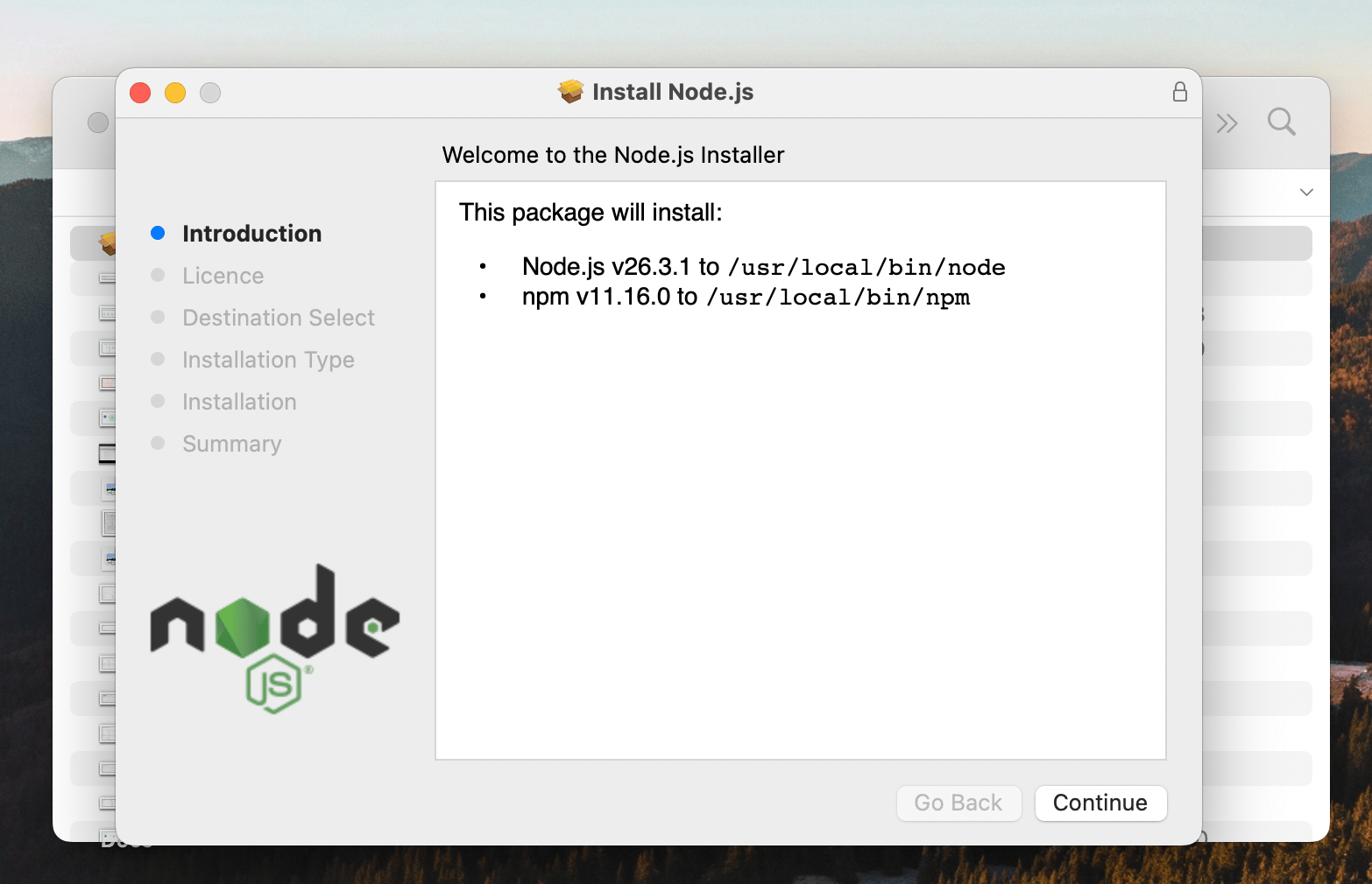 Open the file that was downloaded and follow the instructions