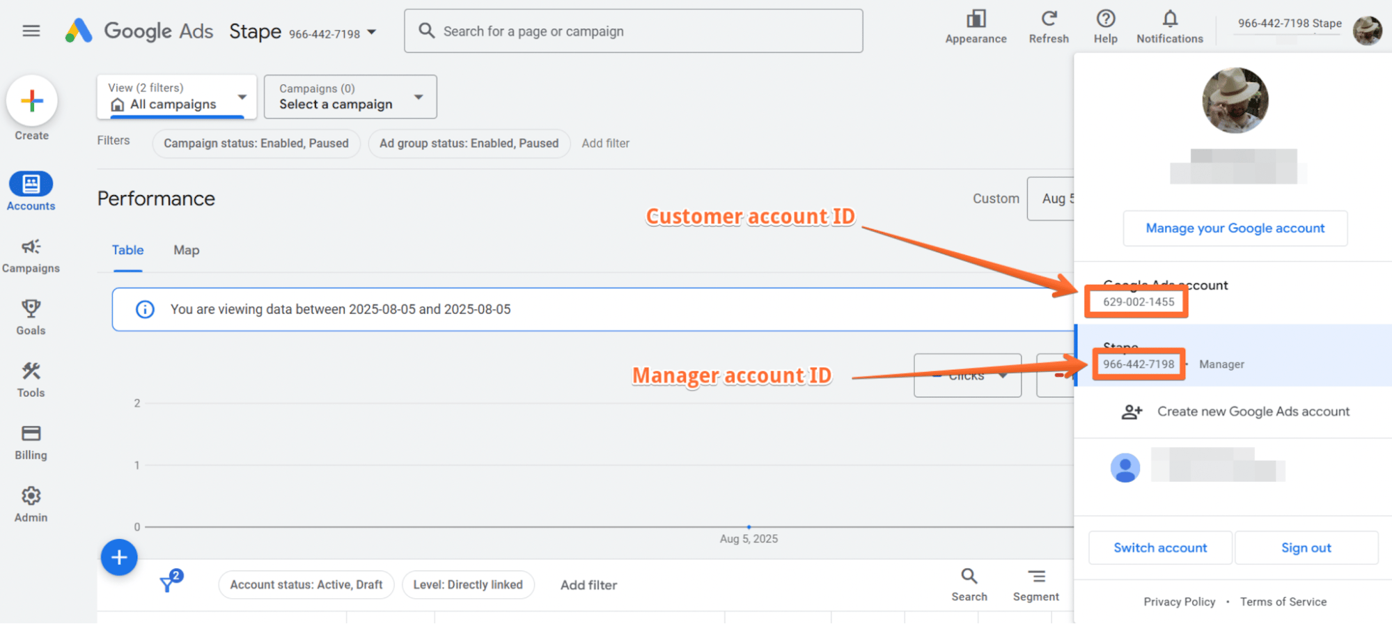 Customer and manager account IDs