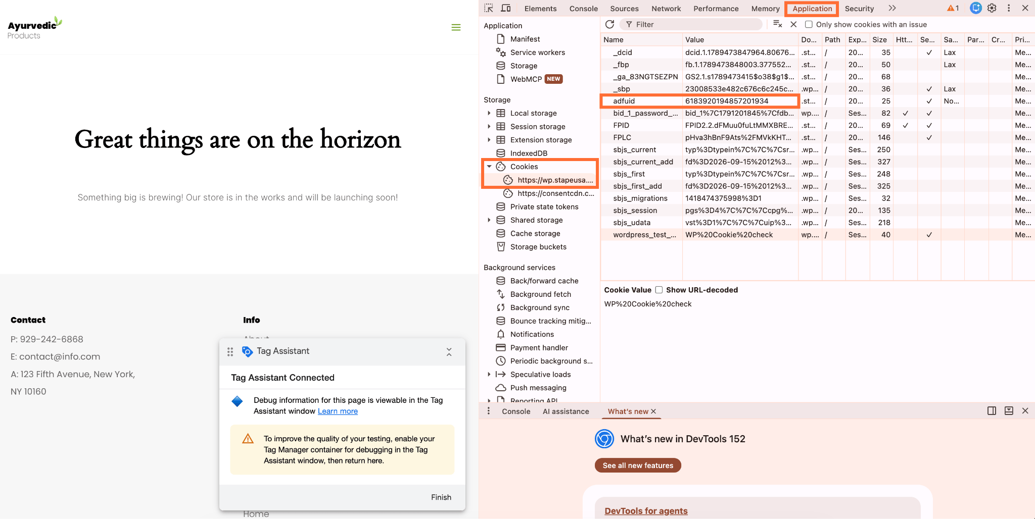 Go to Application → Storage → Cookies → your domain