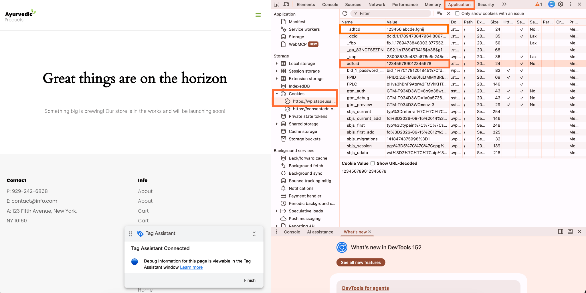Go to Application → Storage → Cookies → your domain