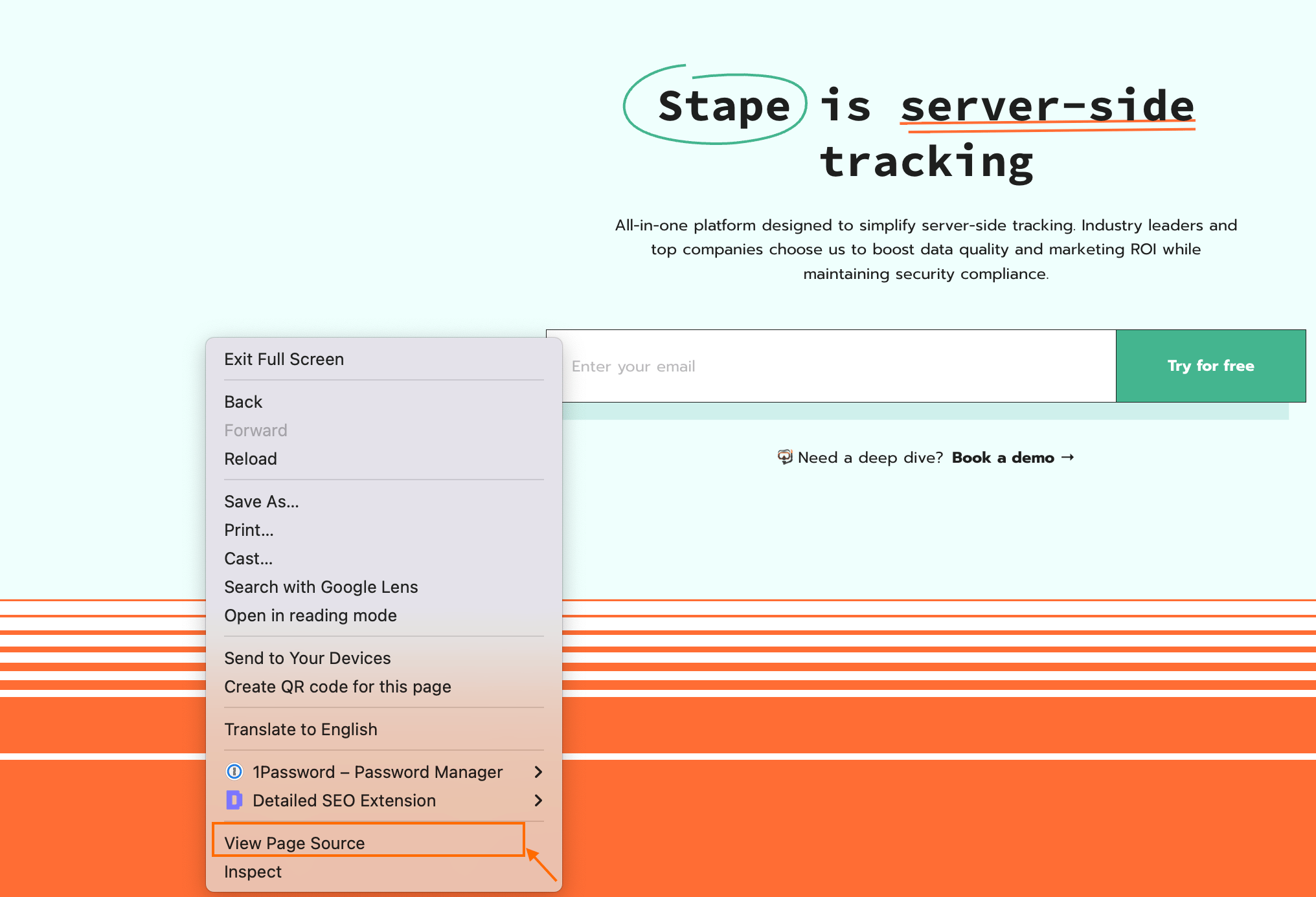 View page source