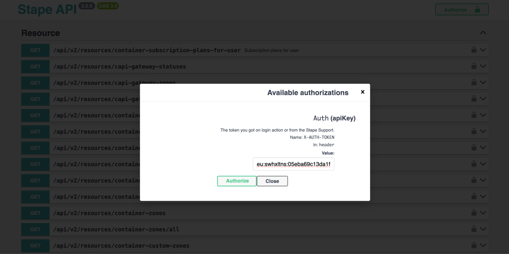 Paste the key to authorize