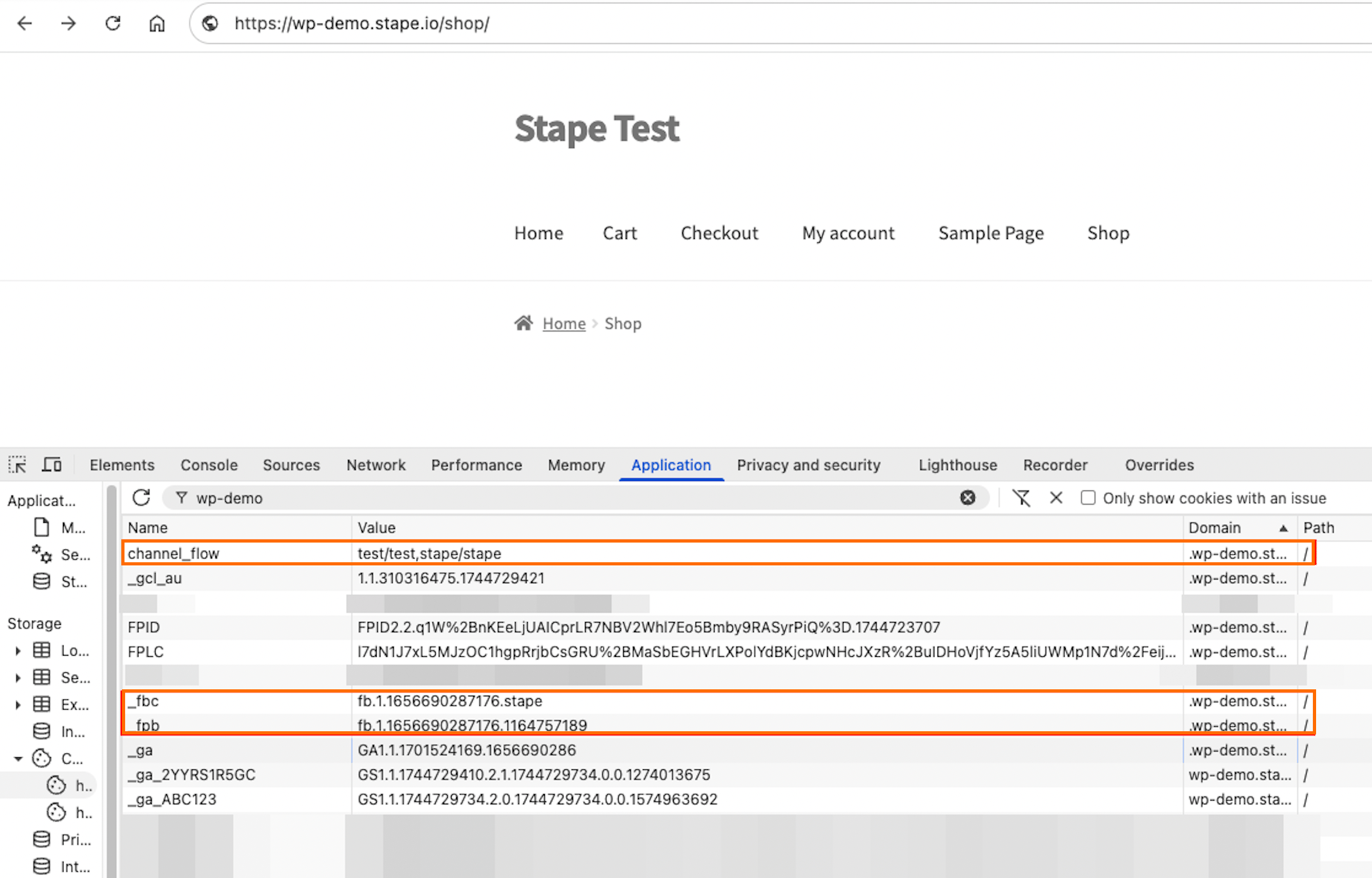 Setup test in developer tools