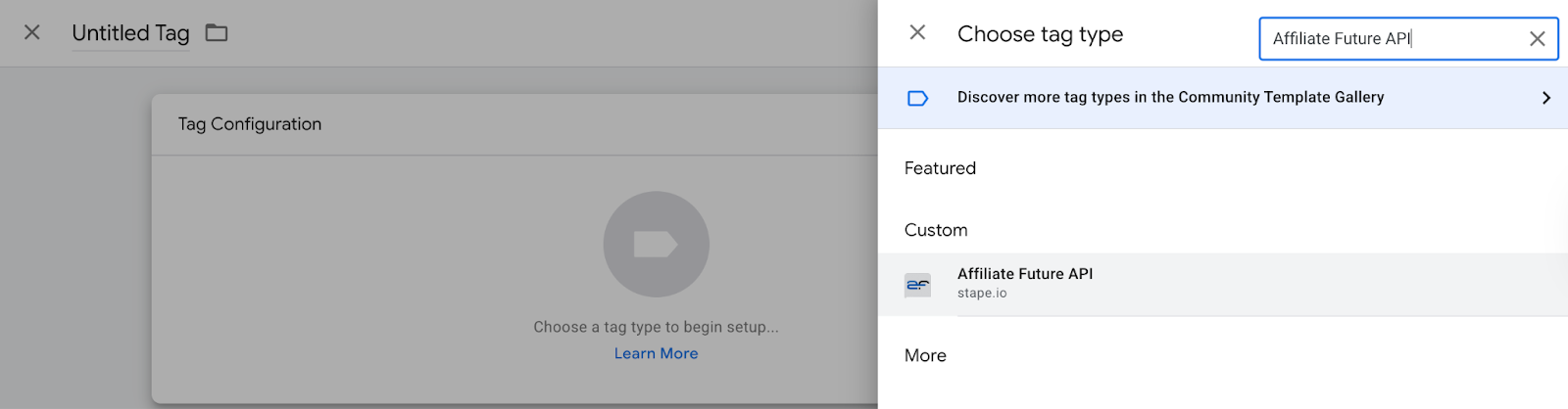 Affiliate Future as a tag type