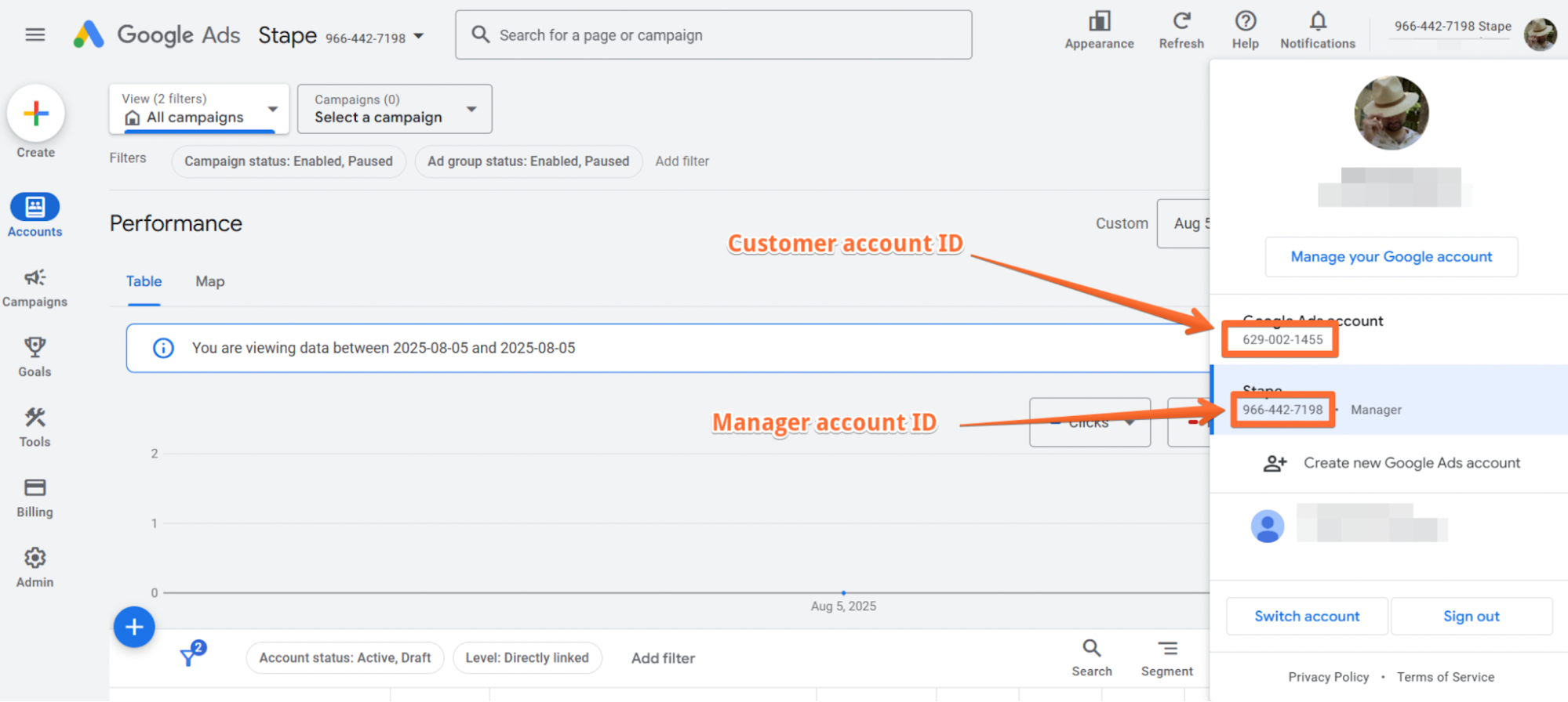 Customer and manager account IDs